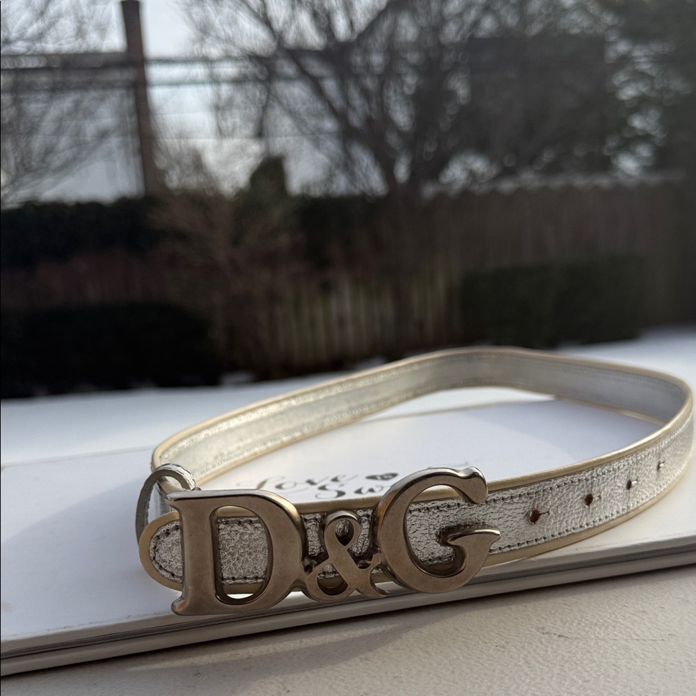 Dolce & Gabbana Metallic Silver Belt